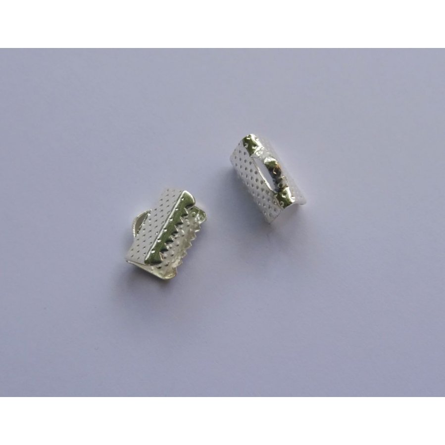Pontas de grampo prata 10 mm x 2