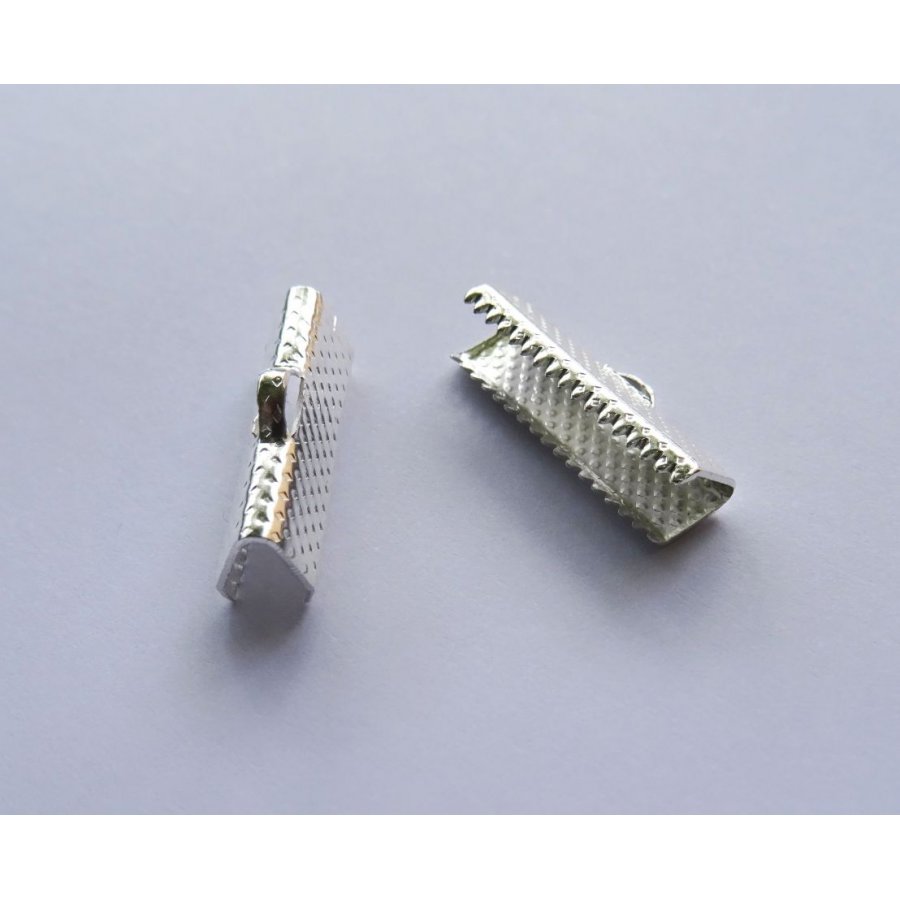 Pontas de grampo prata 20 mm x 2