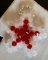 Pingente kit Star vermelho e branco
