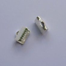 Pontas de grampo prata 10 mm x 2
